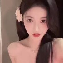 介绍